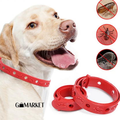 Collar Antipulgas Para Mascota
