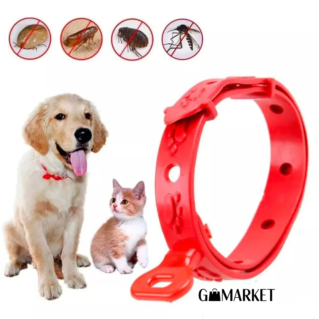Collar Antipulgas Para Mascota